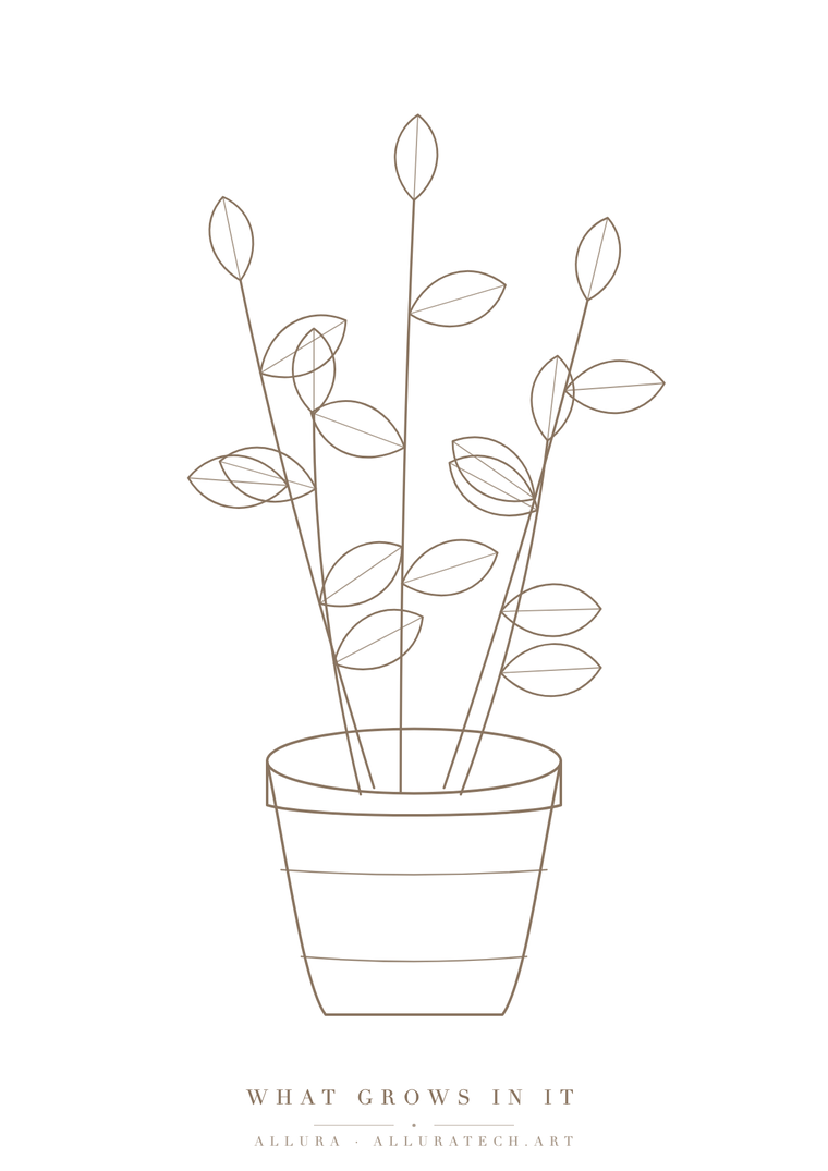 What Grows In It colouring sheet